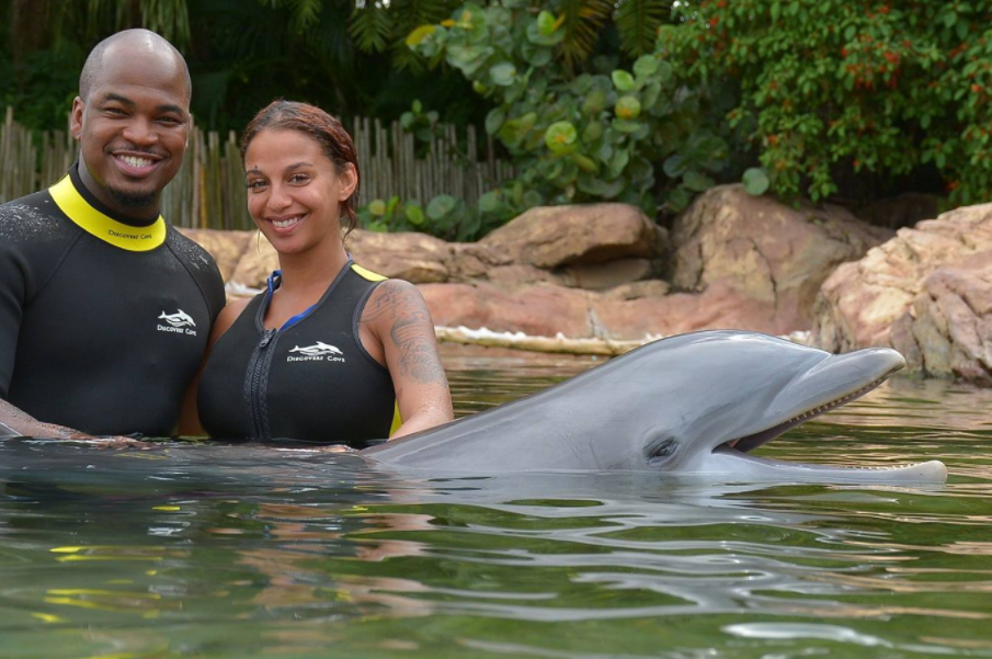 Jump into Adventure: Swim with Dolphins Near Tampa at Discovery Cove Orlando
