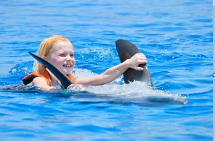dolphin tours near orlando florida