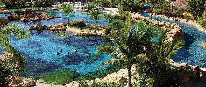 dolphin cove orlando florida