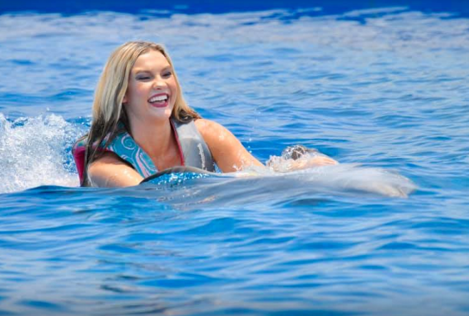 A Luxury Escape: Swimming with Dolphins near Casa Monica Resort & Spa at Marineland