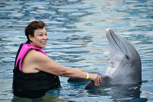 Orlando Swim with Dolphin Tickets and Tours (407) 378-7808