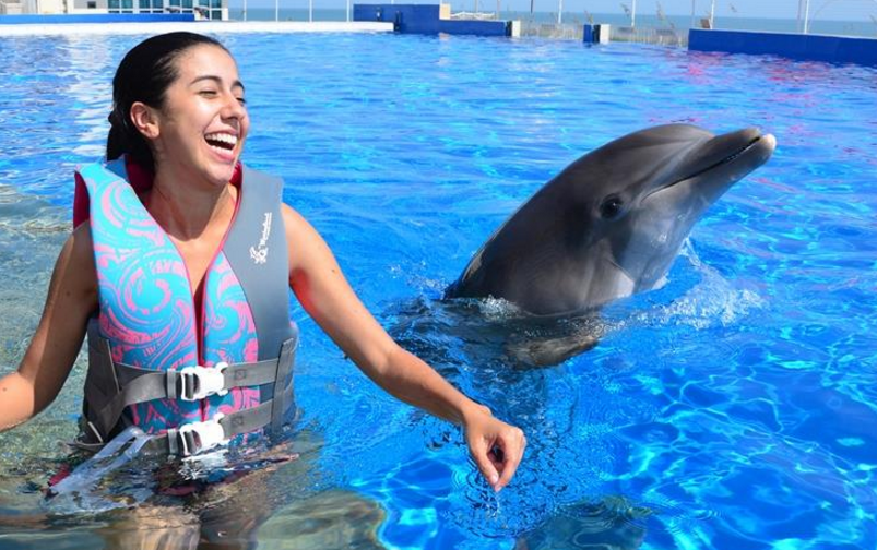 A Rockin’ Adventure: Swim with Dolphins near Hard Rock Hotel Daytona Beach at Marineland