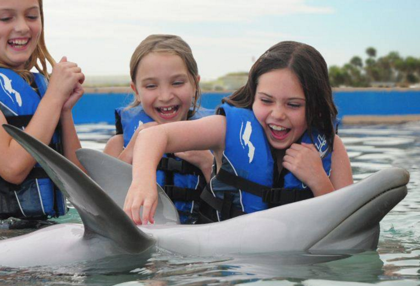 Non-Swim St Augustine Dolphin Program