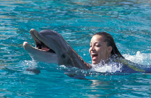 dolphin tours near orlando florida