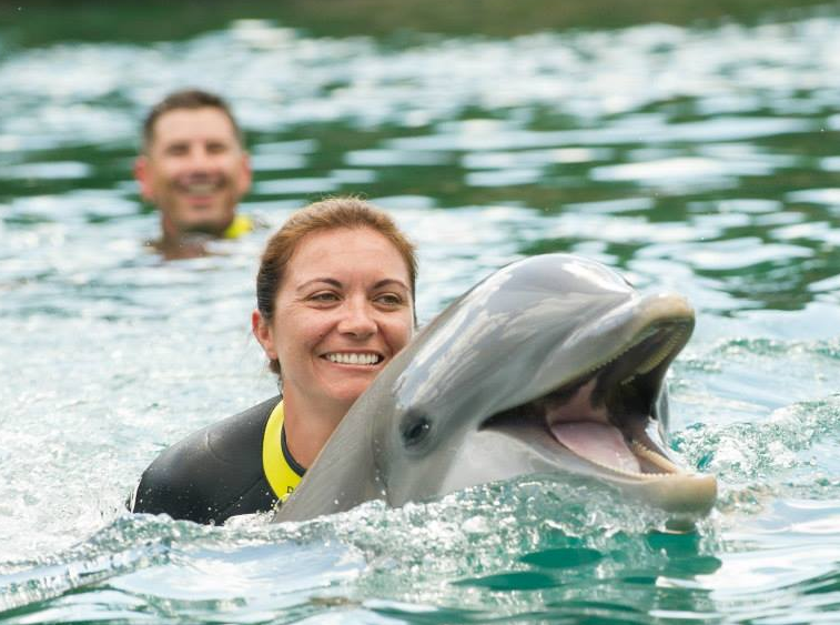 Orlando swim with dolphin program