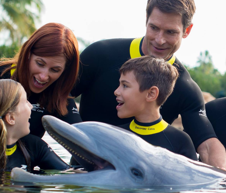 Dive into Adventure with Discovery Cove Orlando’s All-Inclusive Package
