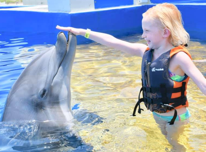 A Coastal Dream: Swim with Dolphins near Flagler Beach, Florida at Marineland