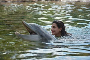 Orlando Dolphin Ride starting from $199 and up