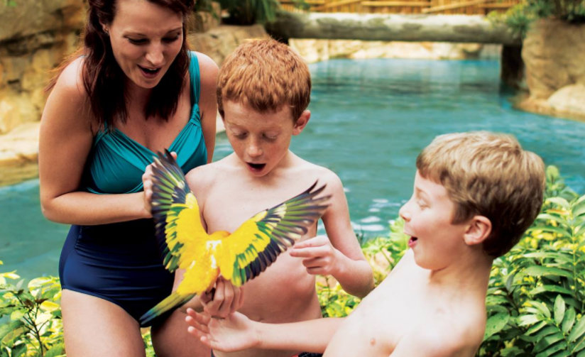 Tropical Bird Aviary with Your Orlando Dolphin Swim