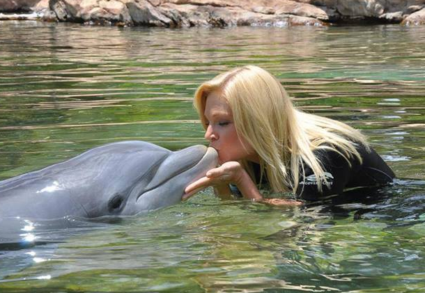 Discovering Serenity: Swim with Dolphins Near Lakeland, Florida at Discovery Cove