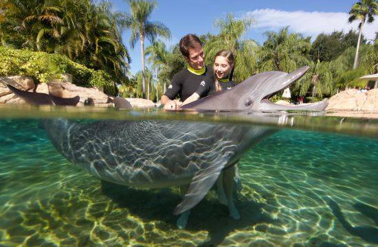 How to Travel to Orlando and Experience Discovery Cove